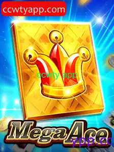 MegaAce